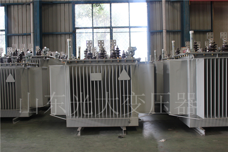 红古S20-500KVA/10KV油浸式变压器